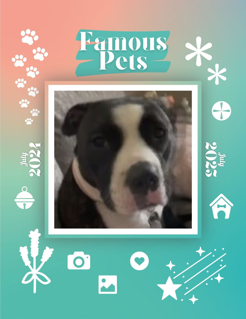 Famous Pets: July 2024-July 2025 Wall Calendar (Pre-Order)