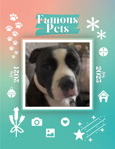 Famous Pets: July 2024-July 2025 Wall Calendar (Pre-Order)