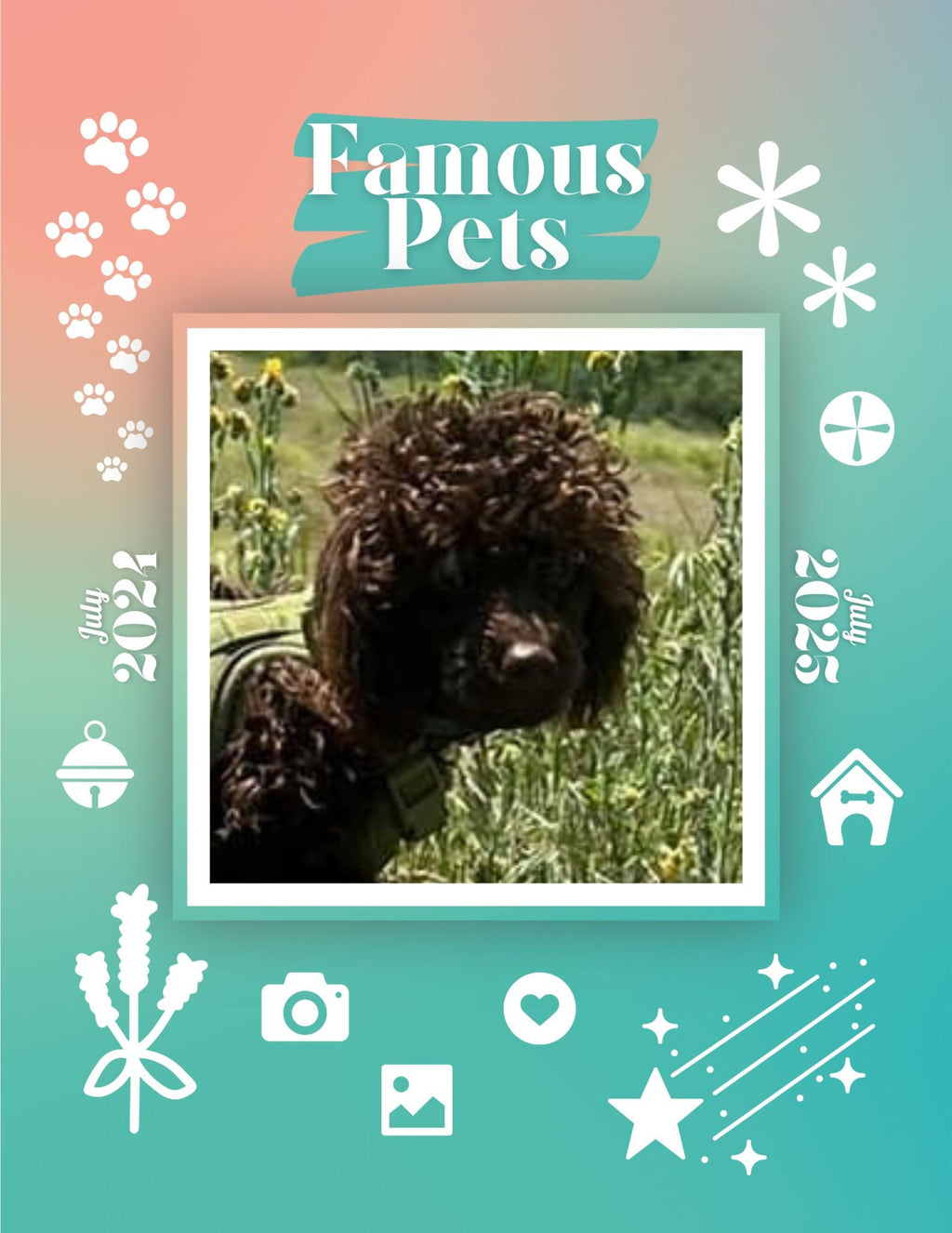 Famous Pets: July 2024-July 2025 Wall Calendar (Pre-Order)