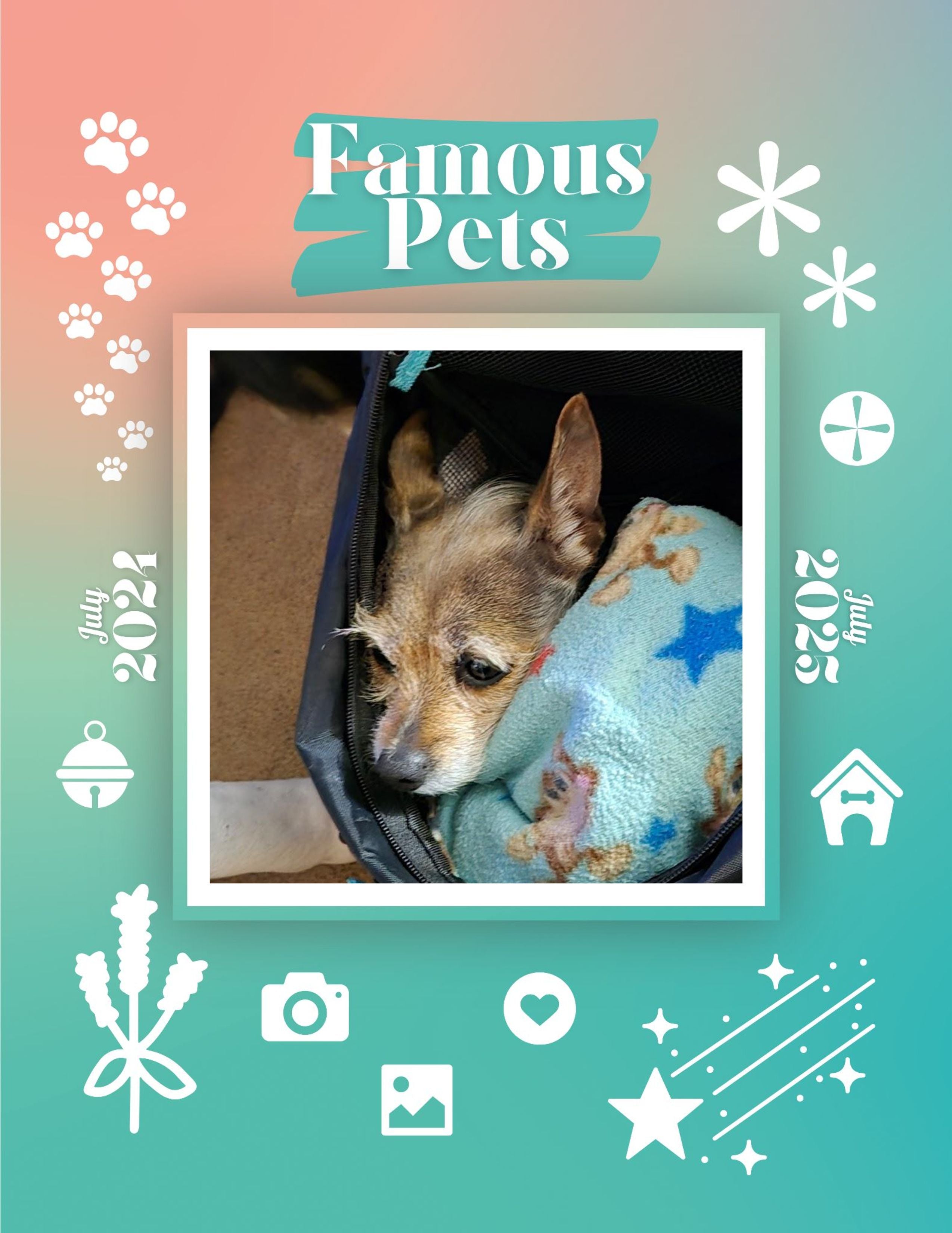 Famous Pets: July 2024-July 2025 Wall Calendar (Pre-Order)