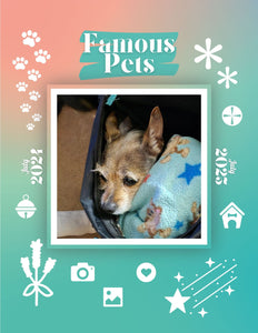 Famous Pets: July 2024-July 2025 Wall Calendar (Pre-Order)