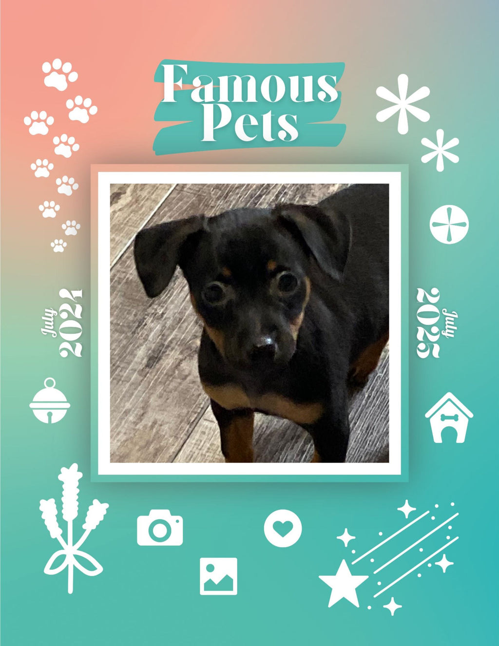 Famous Pets: July 2024-July 2025 Wall Calendar (Pre-Order)