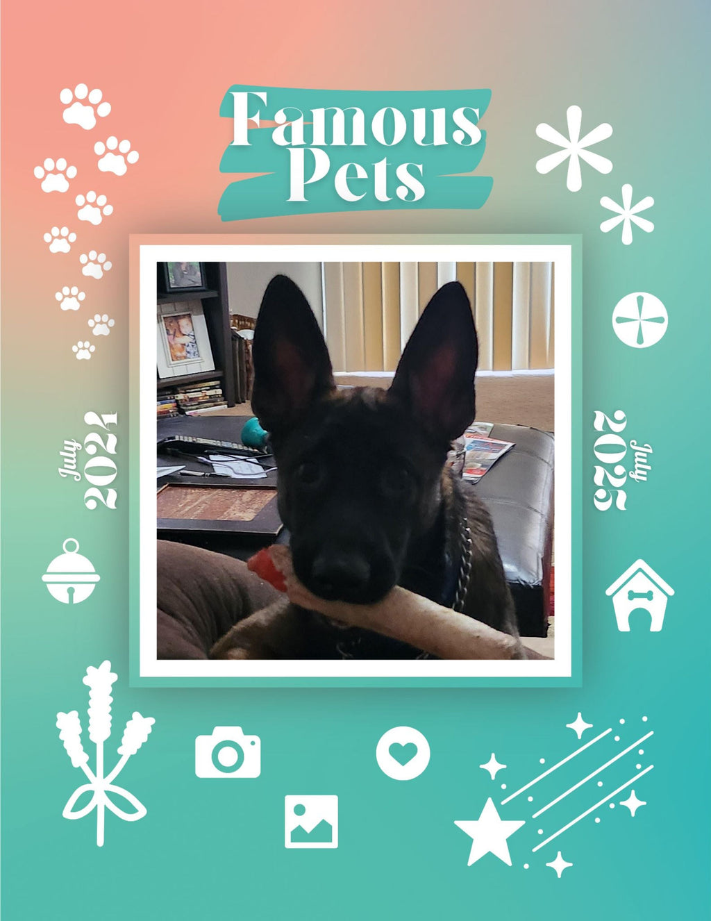 Famous Pets: July 2024-July 2025 Wall Calendar (Pre-Order)