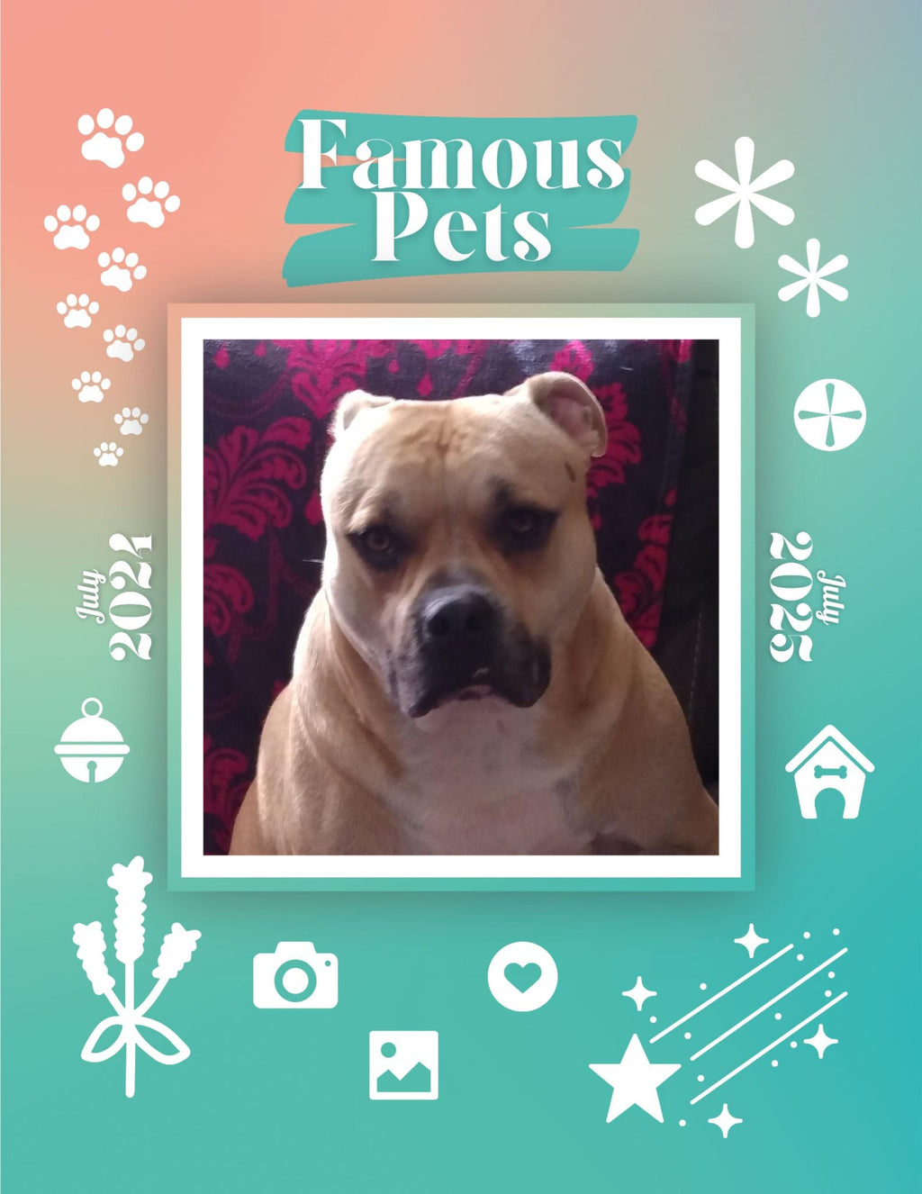 Famous Pets: July 2024-July 2025 Wall Calendar (Pre-Order)
