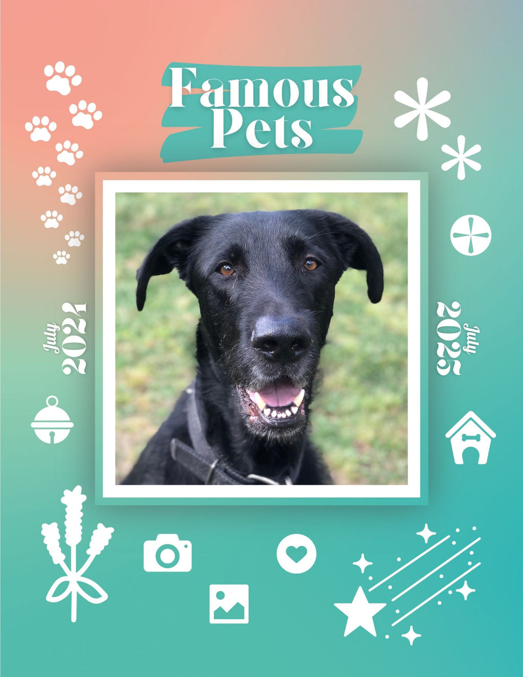 Famous Pets: July 2024-July 2025 Wall Calendar (Pre-Order)