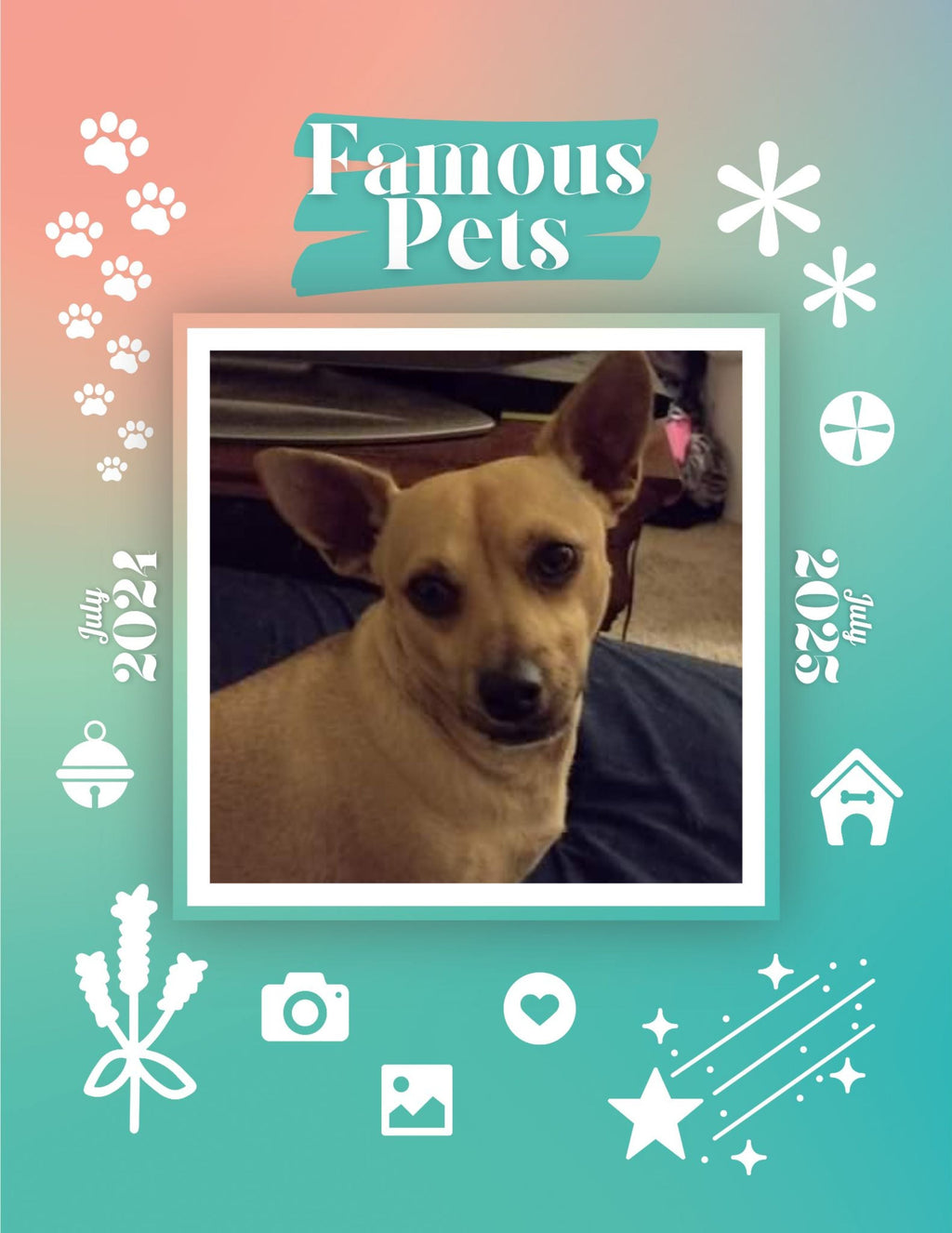 Famous Pets: July 2024-July 2025 Wall Calendar (Pre-Order)