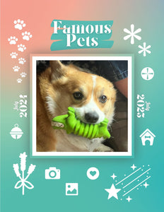 Famous Pets: July 2024-July 2025 Wall Calendar (Pre-Order)