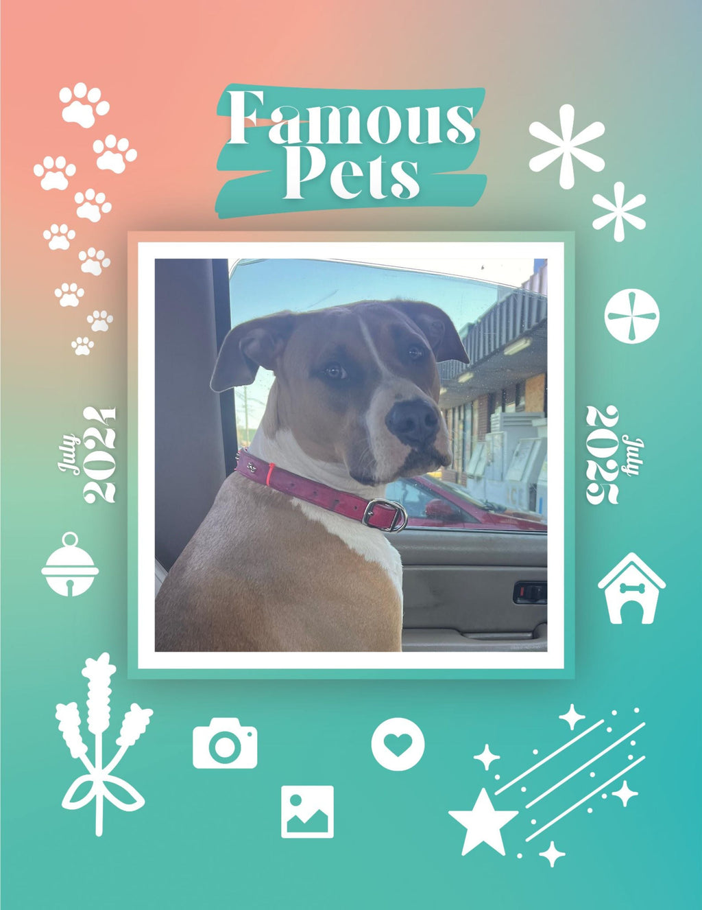 Famous Pets: July 2024-July 2025 Wall Calendar (Pre-Order)