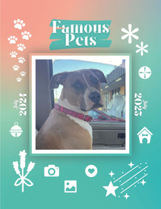Famous Pets: July 2024-July 2025 Wall Calendar (Pre-Order)