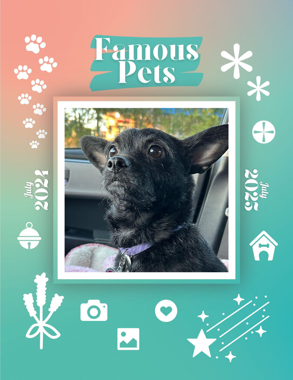 Famous Pets: July 2024-July 2025 Wall Calendar (Pre-Order)