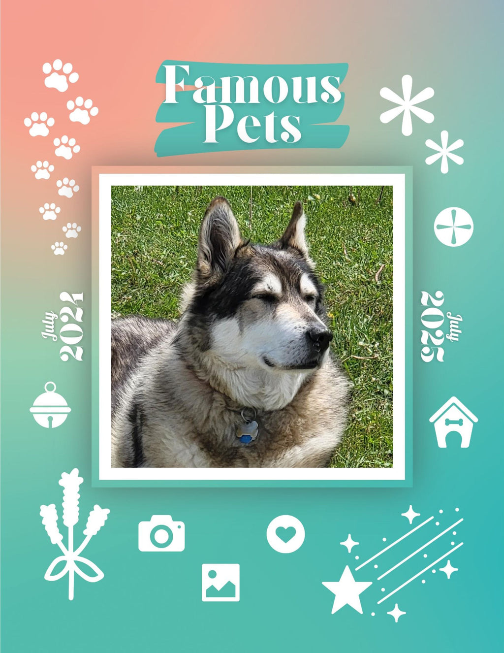 Famous Pets: July 2024-July 2025 Wall Calendar (Pre-Order)