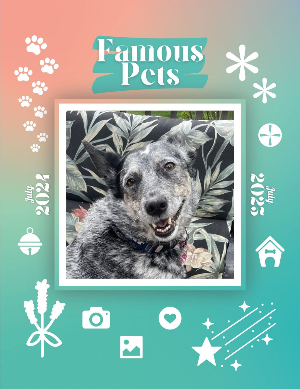 Famous Pets: July 2024-July 2025 Wall Calendar (Pre-Order)