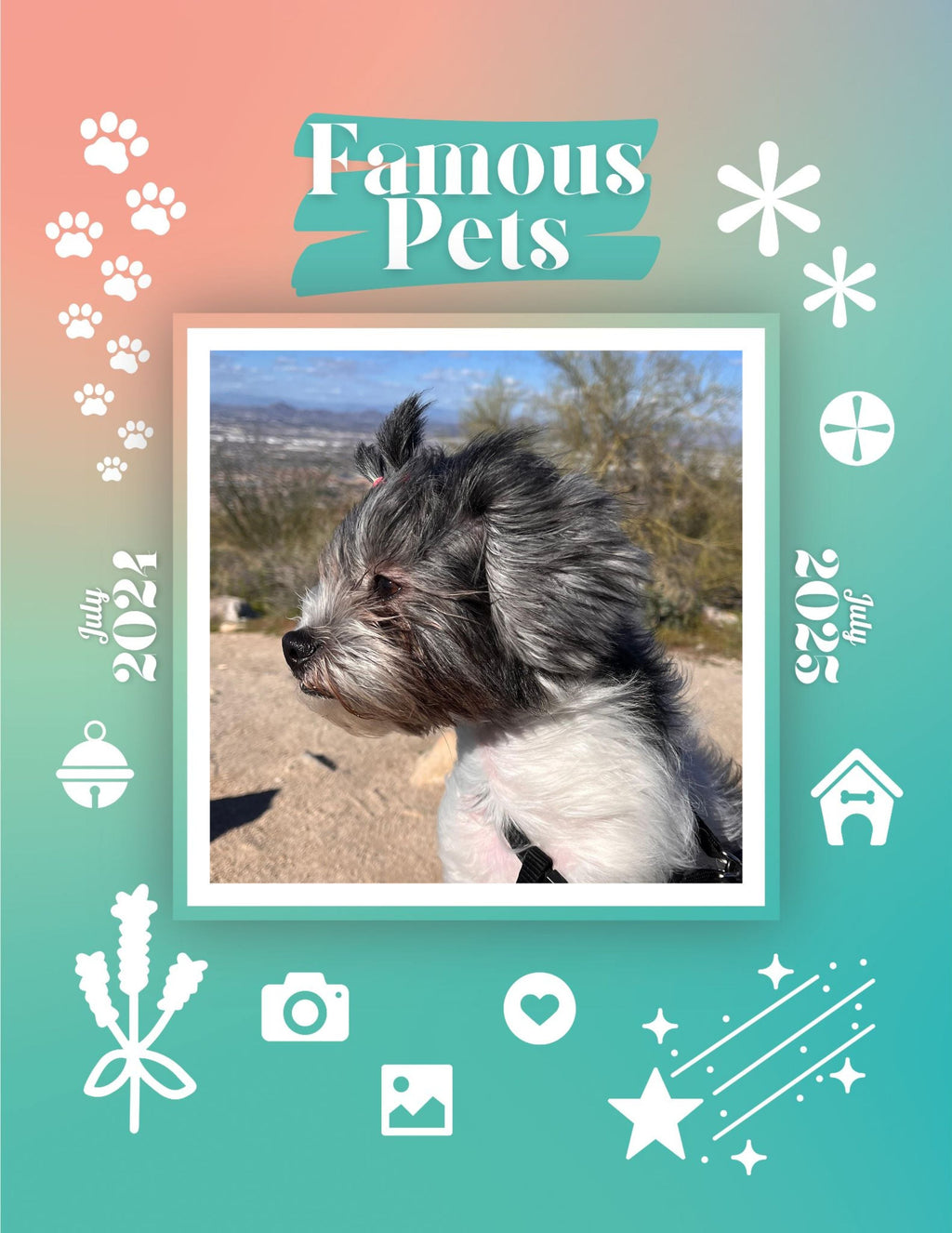 Famous Pets: July 2024-July 2025 Wall Calendar (Pre-Order)