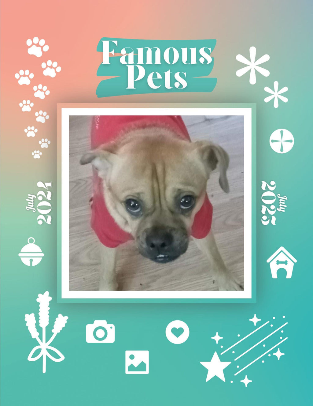 Famous Pets: July 2024-July 2025 Wall Calendar (Pre-Order)