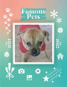 Famous Pets: July 2024-July 2025 Wall Calendar (Pre-Order)