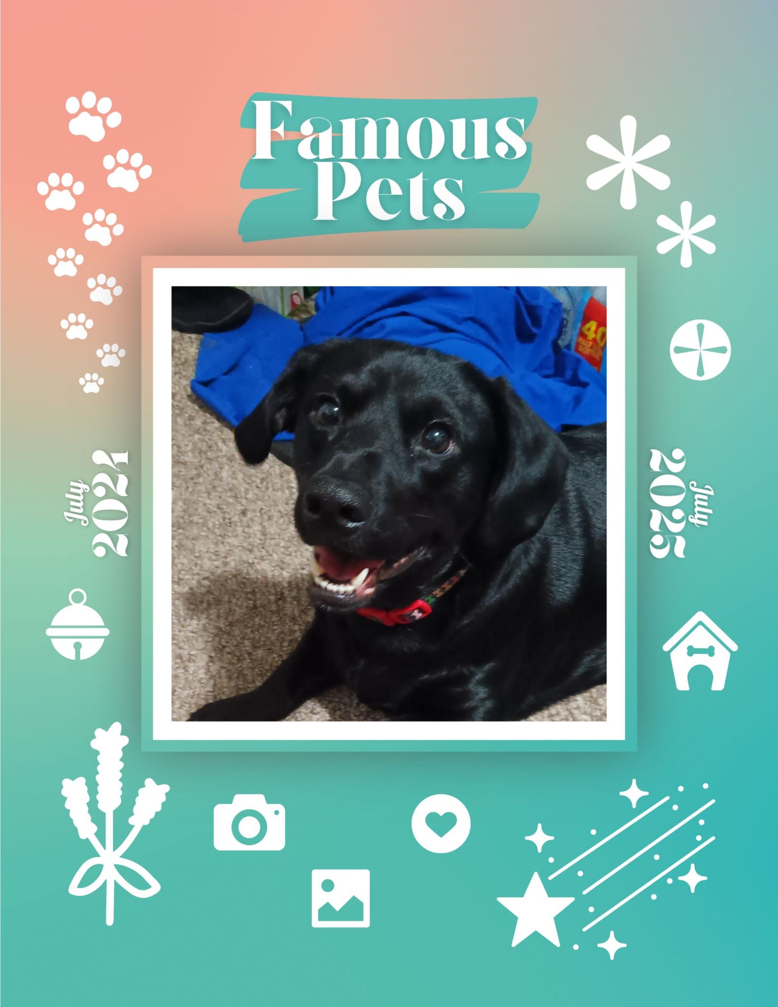 Famous Pets: July 2024-July 2025 Wall Calendar (Pre-Order)