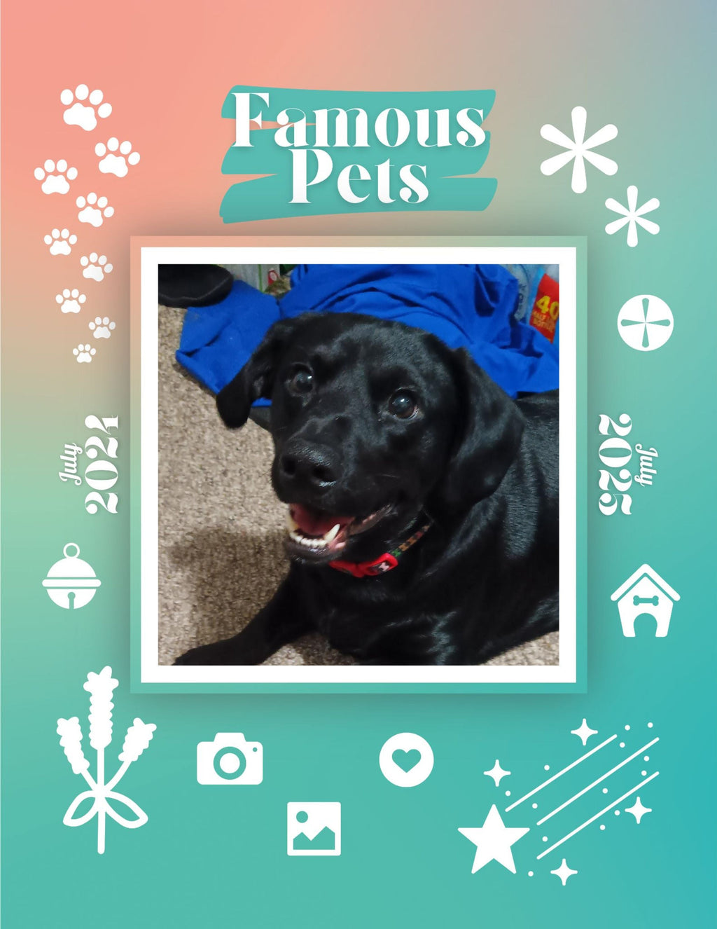 Famous Pets: July 2024-July 2025 Wall Calendar (Pre-Order)