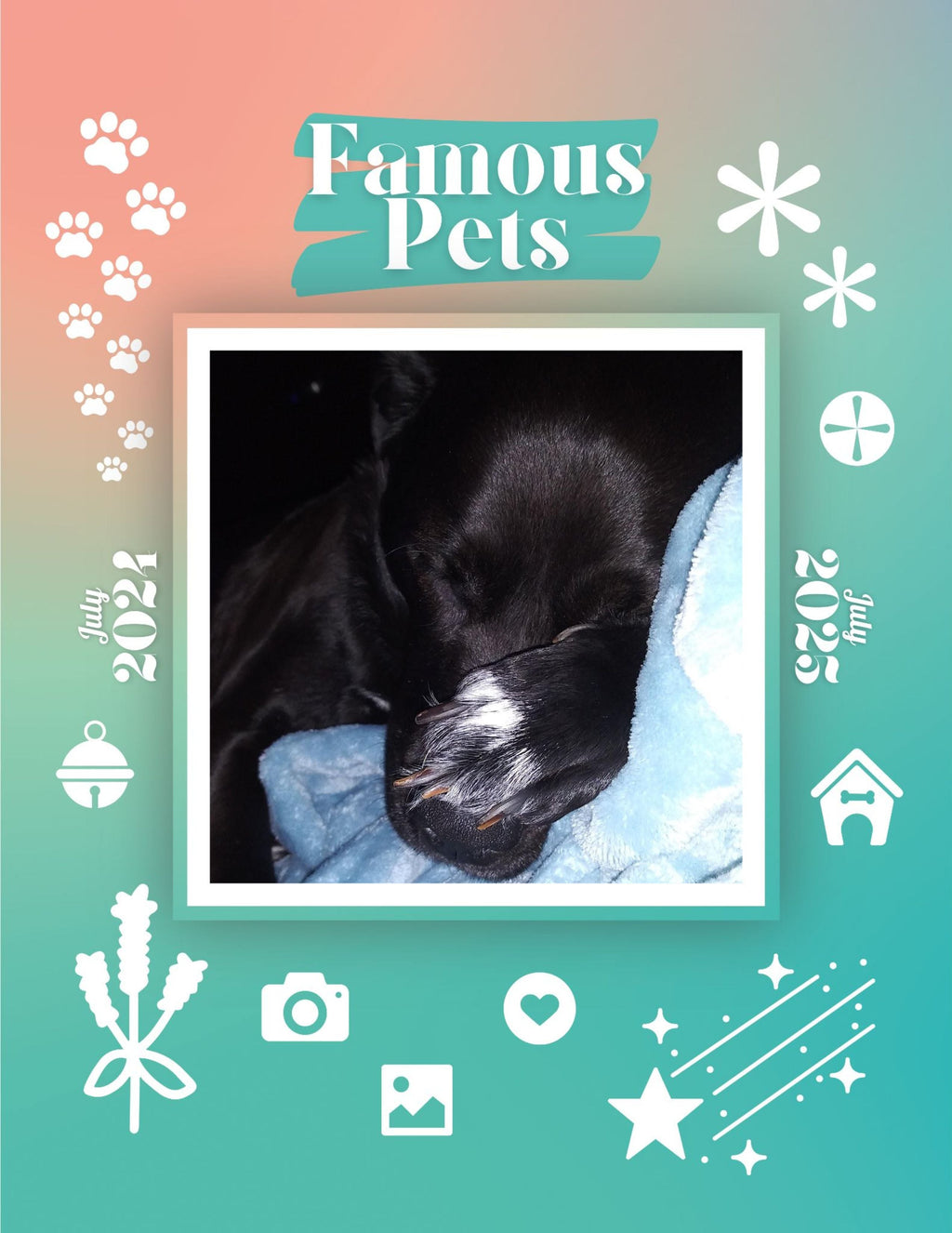 Famous Pets: July 2024-July 2025 Wall Calendar (Pre-Order)