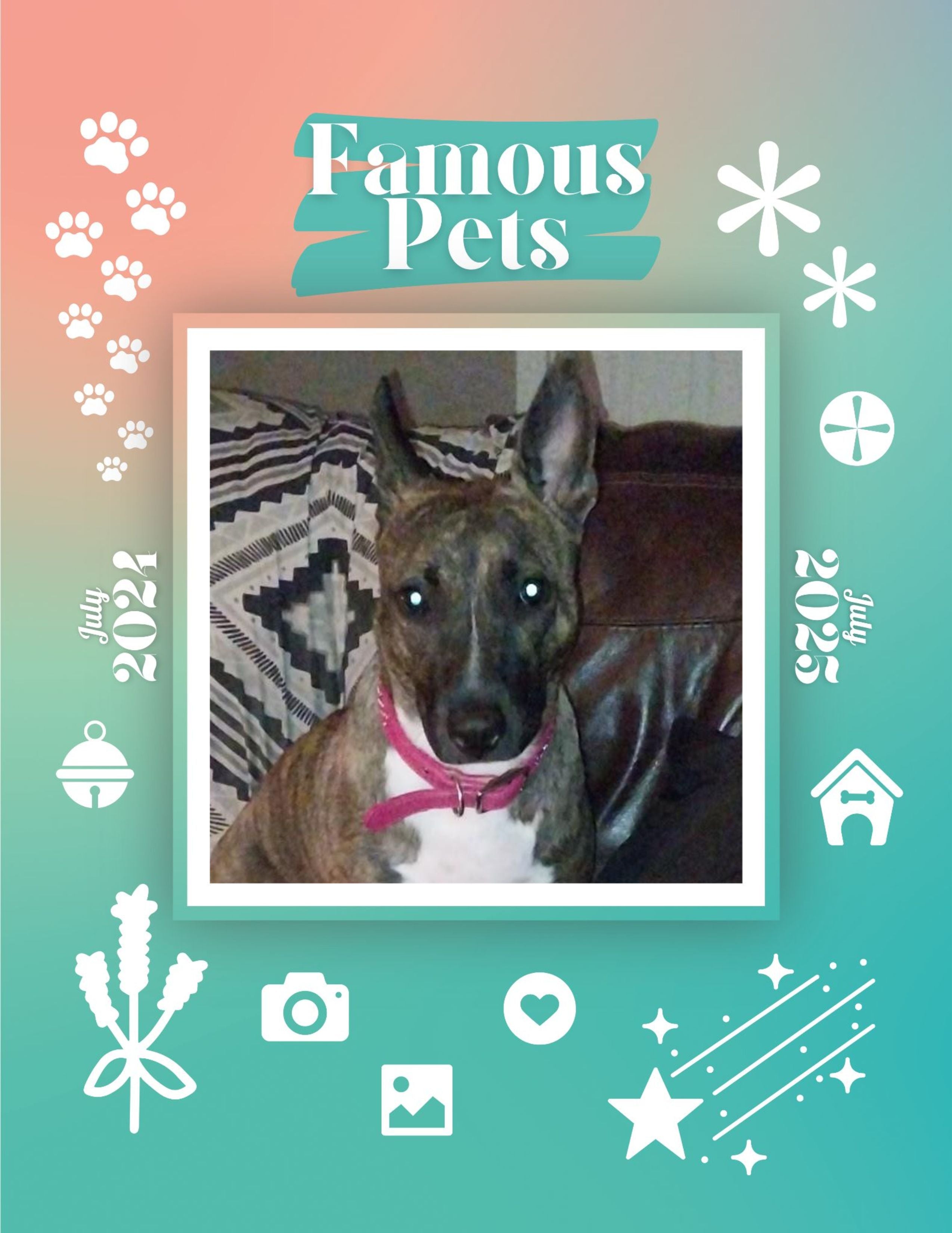 Famous Pets: July 2024-July 2025 Wall Calendar (Pre-Order)