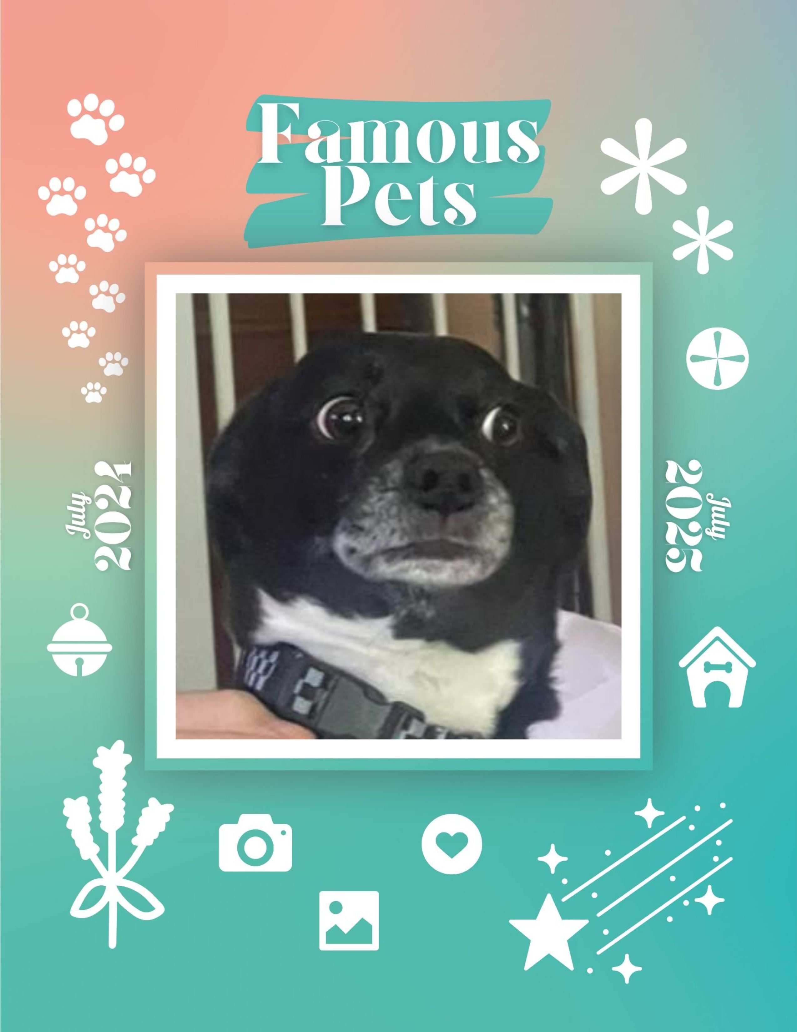 Famous Pets: July 2024-July 2025 Wall Calendar (Pre-Order)