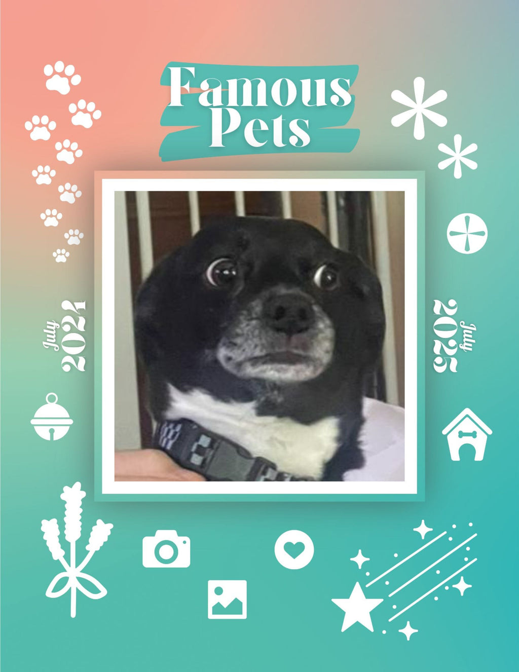 Famous Pets: July 2024-July 2025 Wall Calendar (Pre-Order)