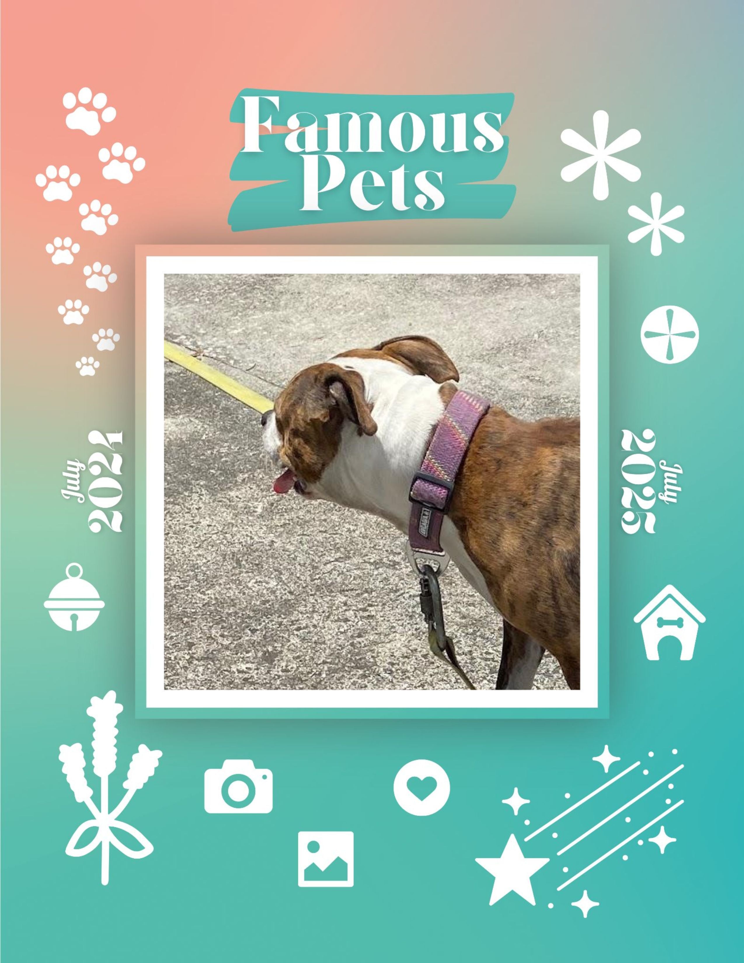 Famous Pets: July 2024-July 2025 Wall Calendar (Pre-Order)