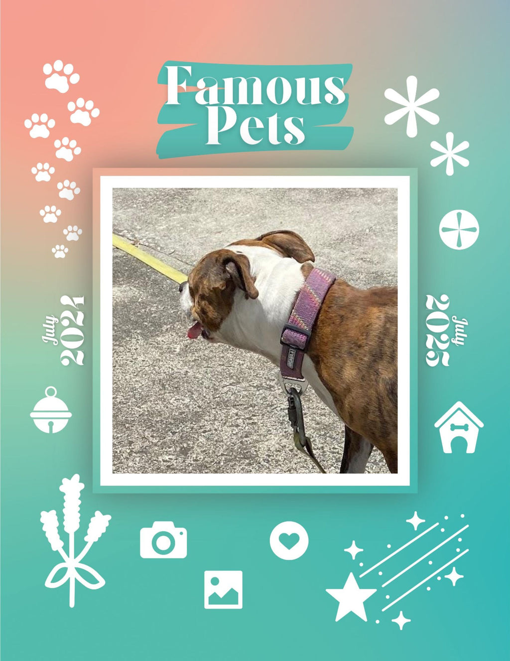 Famous Pets: July 2024-July 2025 Wall Calendar (Pre-Order)