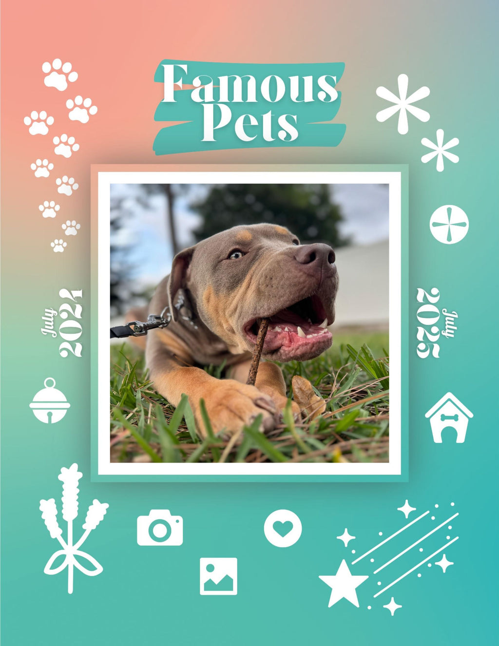 Famous Pets: July 2024-July 2025 Wall Calendar (Pre-Order)