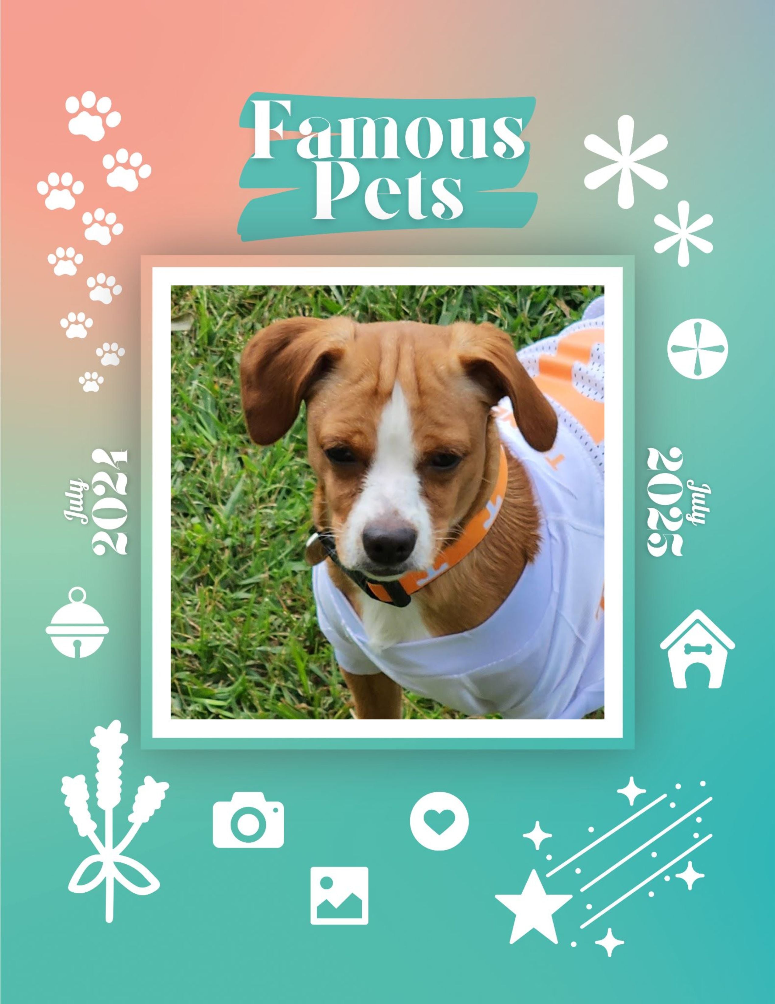 Famous Pets: July 2024-July 2025 Wall Calendar (Pre-Order)