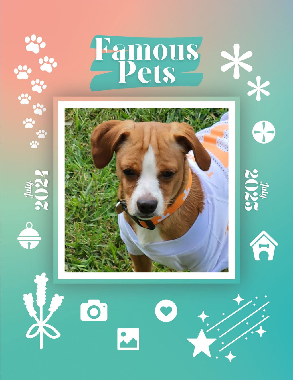 Famous Pets: July 2024-July 2025 Wall Calendar (Pre-Order)