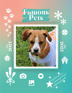 Famous Pets: July 2024-July 2025 Wall Calendar (Pre-Order)