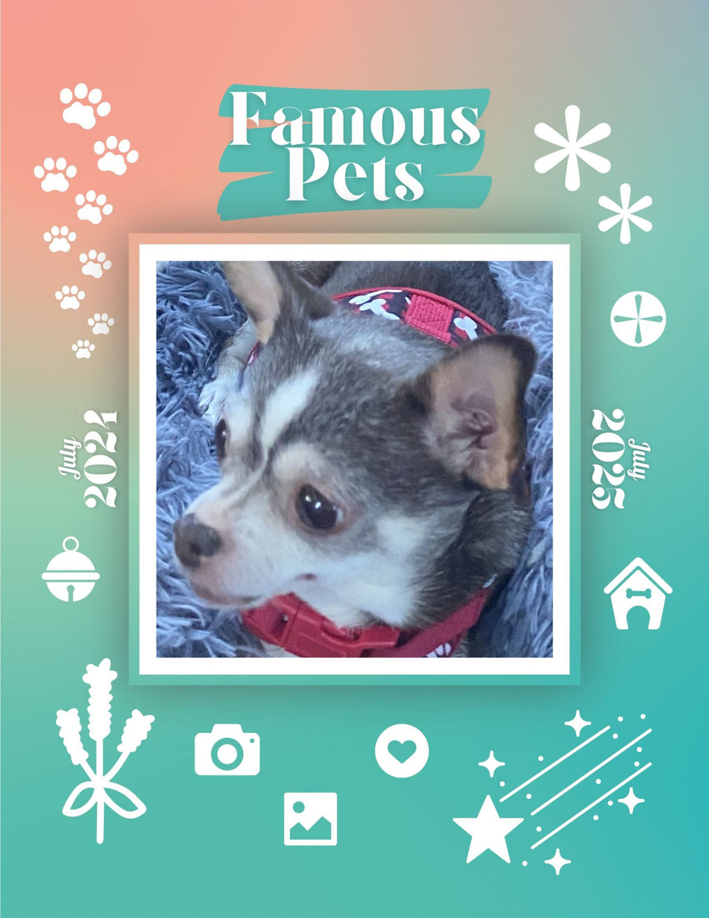 Famous Pets: July 2024-July 2025 Wall Calendar (Pre-Order)