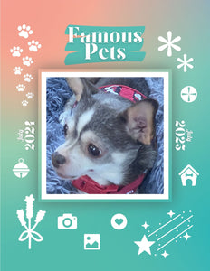Famous Pets: July 2024-July 2025 Wall Calendar (Pre-Order)
