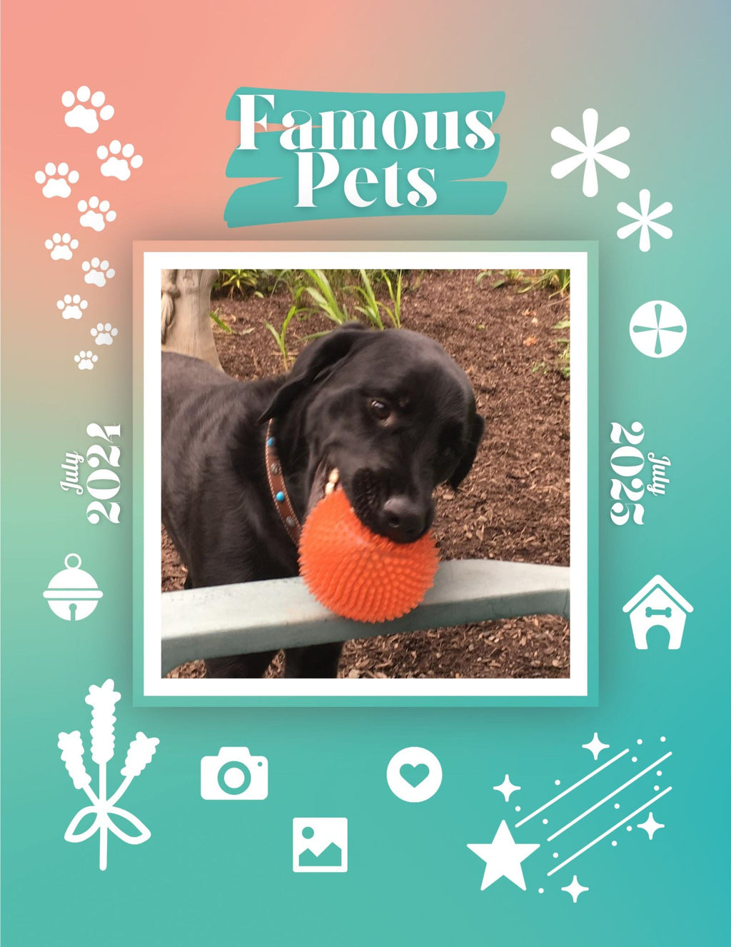 Famous Pets: July 2024-July 2025 Wall Calendar (Pre-Order)