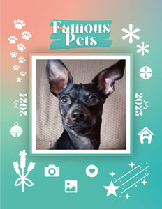 Famous Pets: July 2024-July 2025 Wall Calendar (Pre-Order)