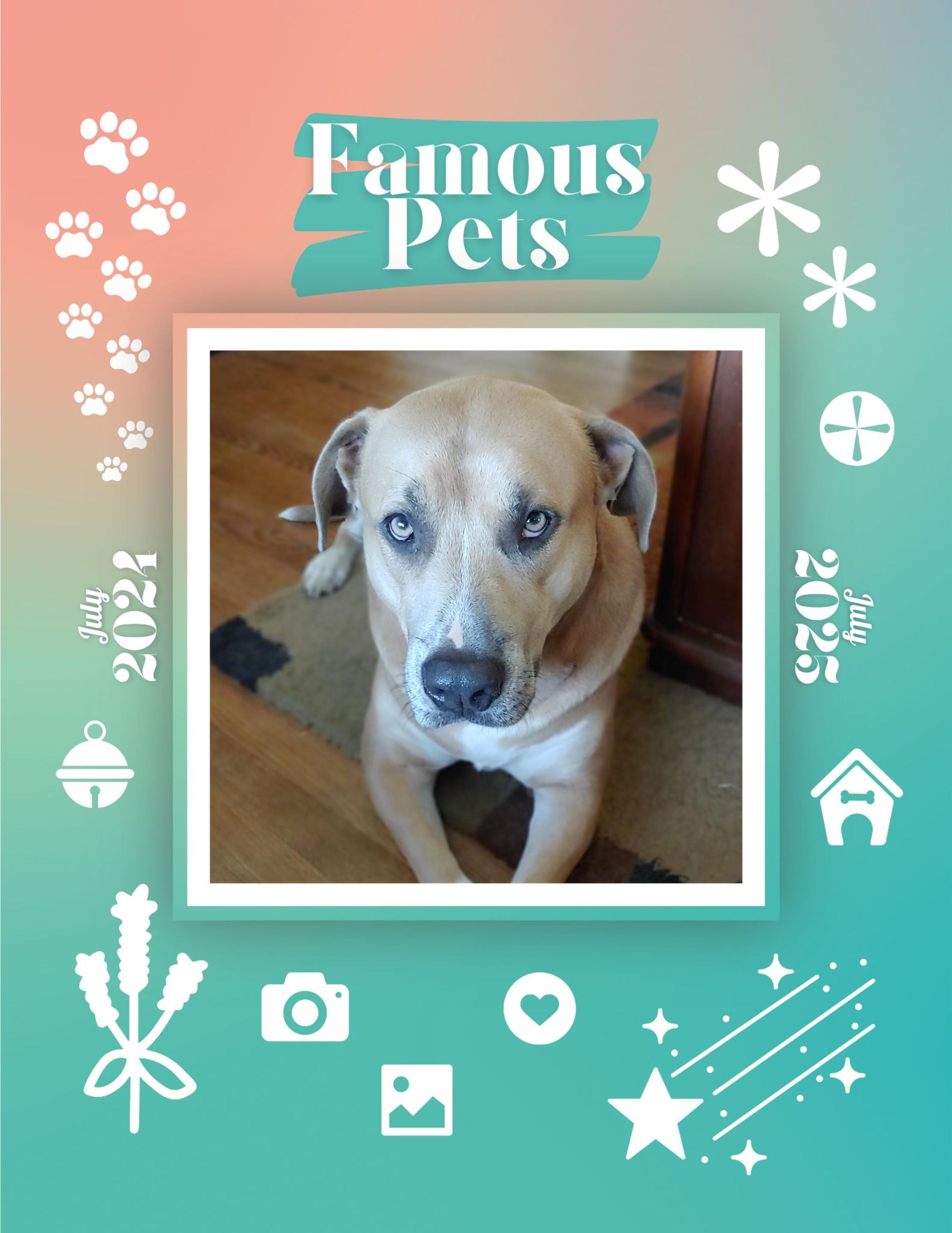 Famous Pets: July 2024-July 2025 Wall Calendar (Pre-Order)