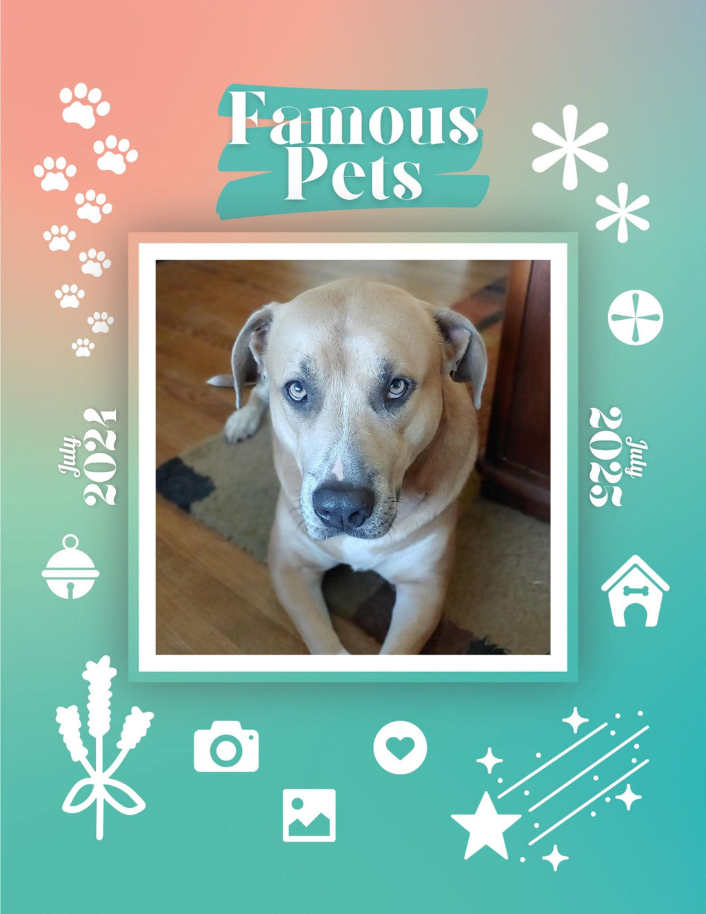 Famous Pets: July 2024-July 2025 Wall Calendar (Pre-Order)