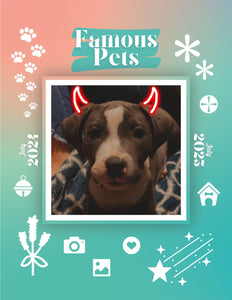 Famous Pets: July 2024-July 2025 Wall Calendar (Pre-Order)