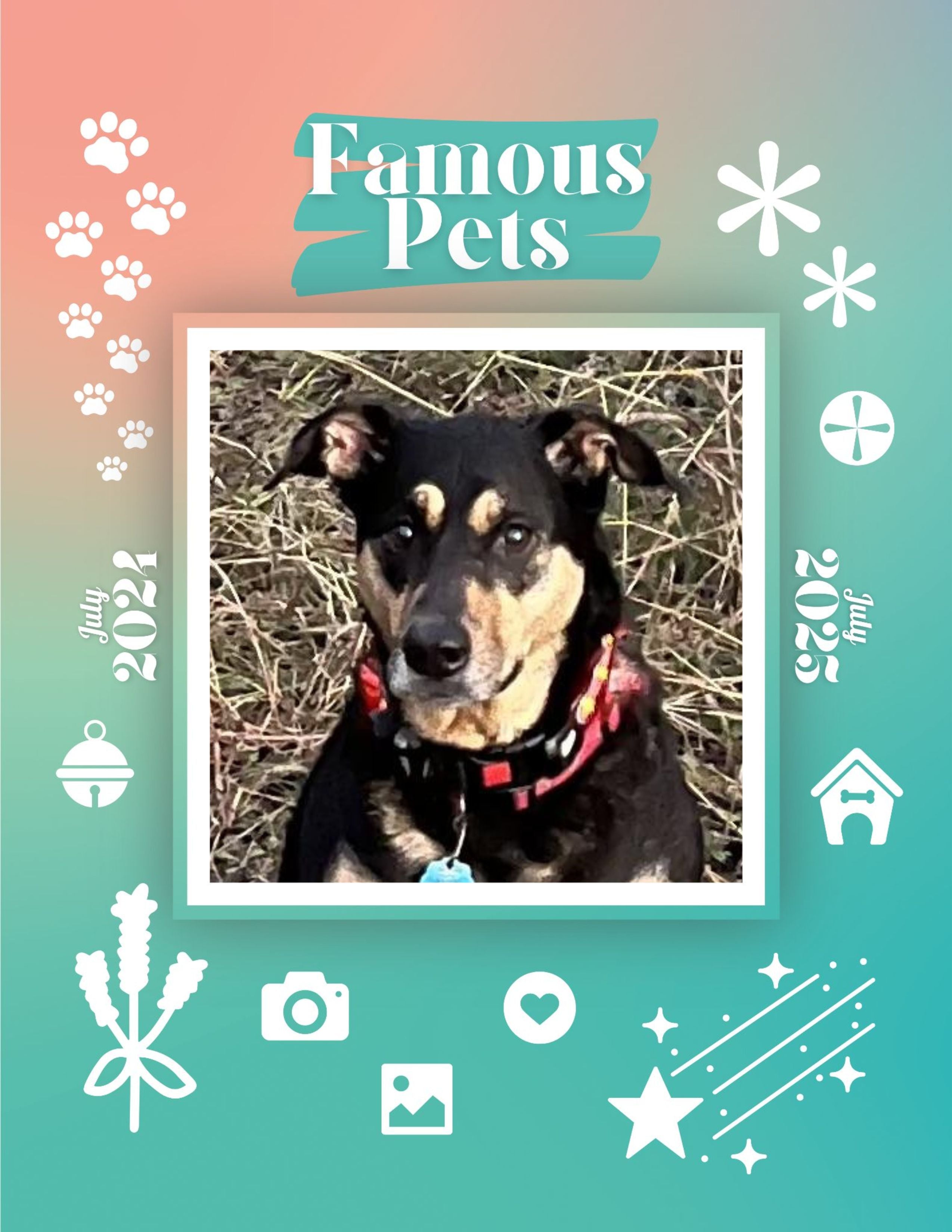 Famous Pets: July 2024-July 2025 Wall Calendar (Pre-Order)