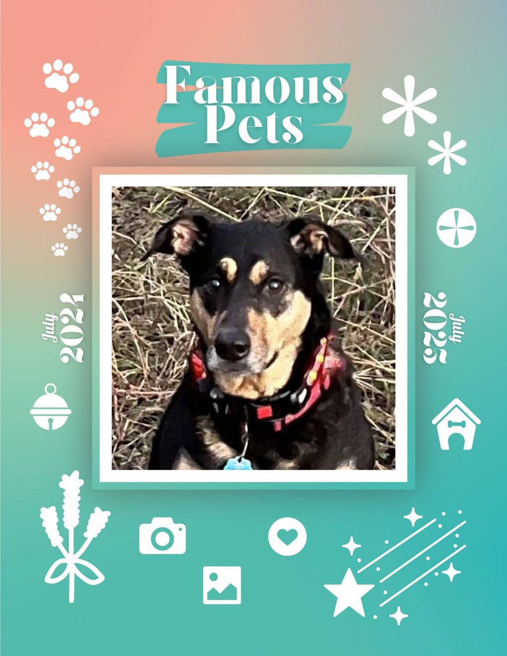 Famous Pets: July 2024-July 2025 Wall Calendar (Pre-Order)
