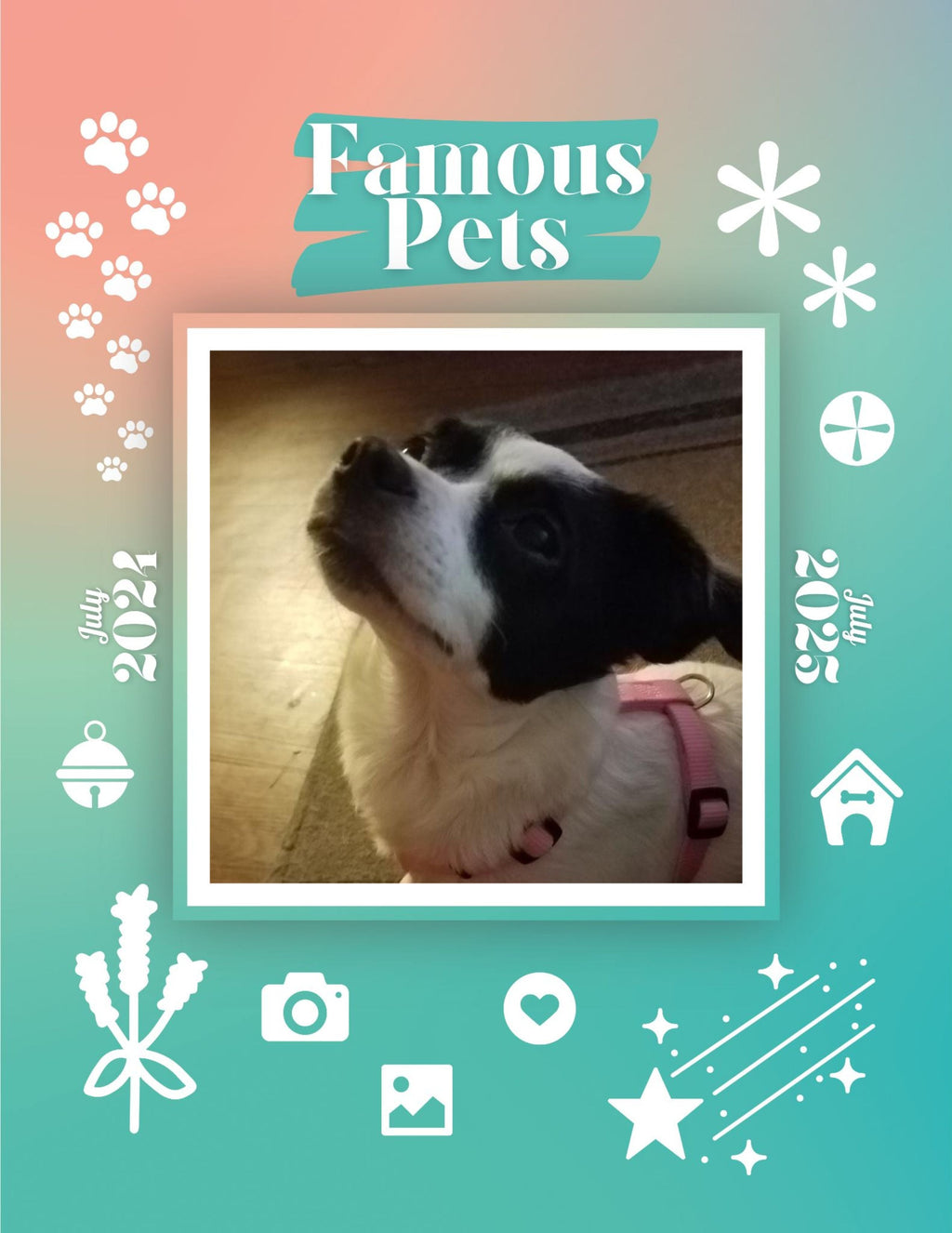 Famous Pets: July 2024-July 2025 Wall Calendar (Pre-Order)