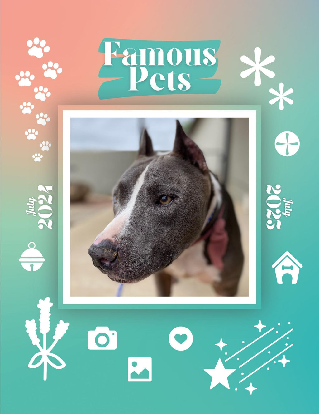 Famous Pets: July 2024-July 2025 Wall Calendar (Pre-Order)