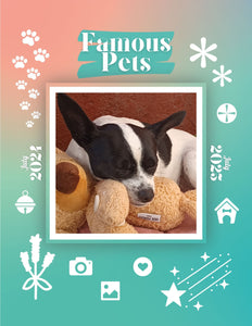 Famous Pets: July 2024-July 2025 Wall Calendar (Pre-Order)