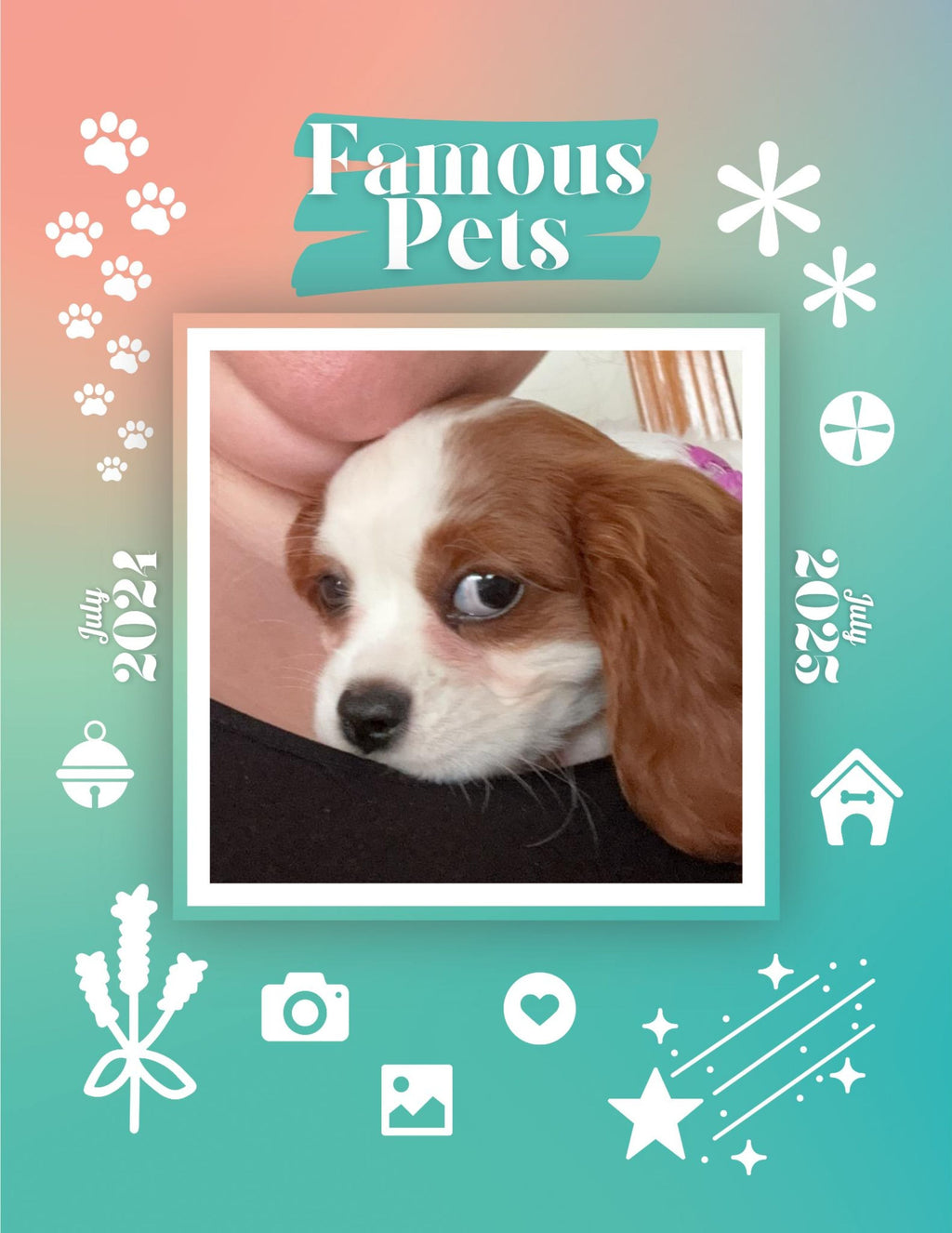 Famous Pets: July 2024-July 2025 Wall Calendar (Pre-Order)