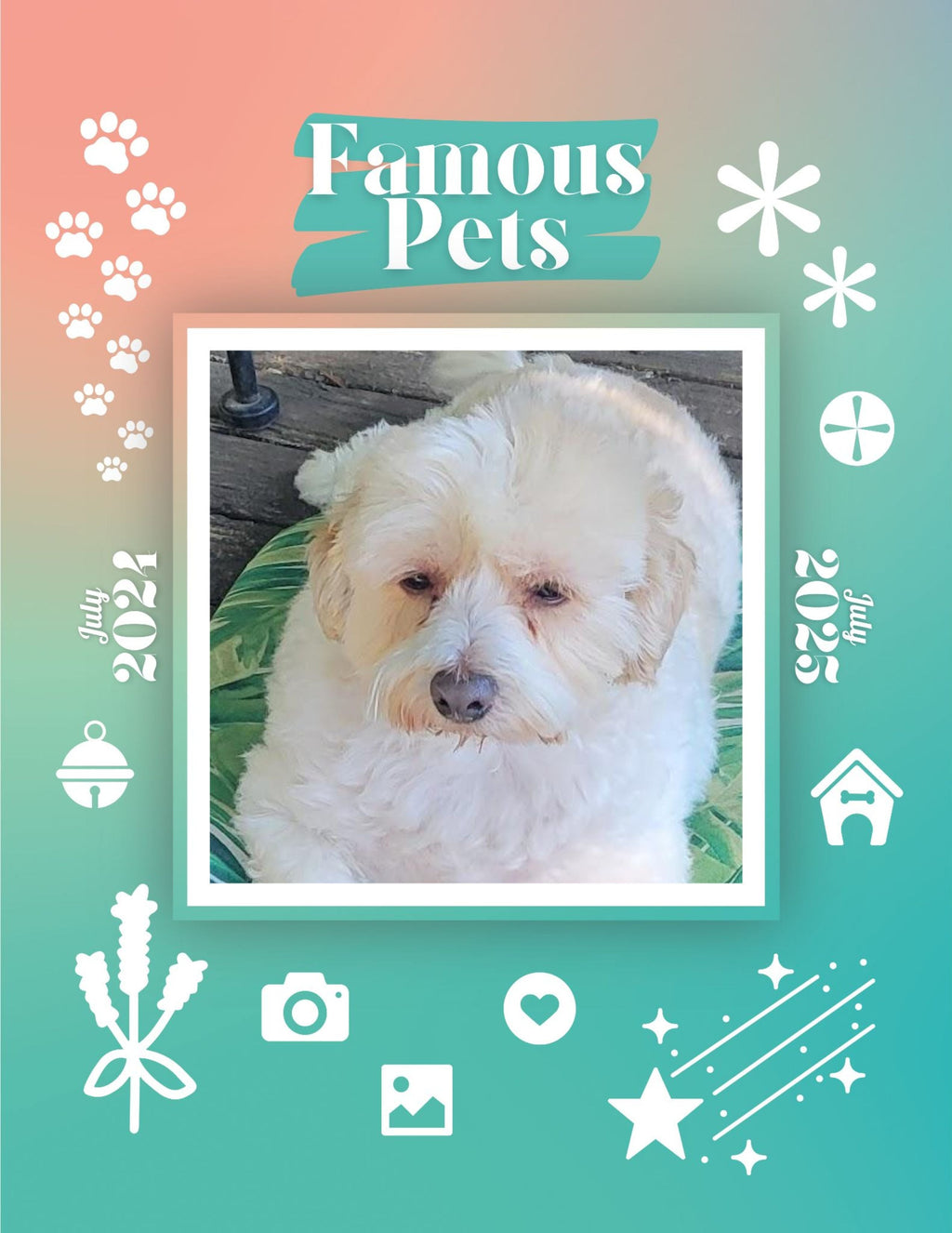 Famous Pets: July 2024-July 2025 Wall Calendar (Pre-Order)
