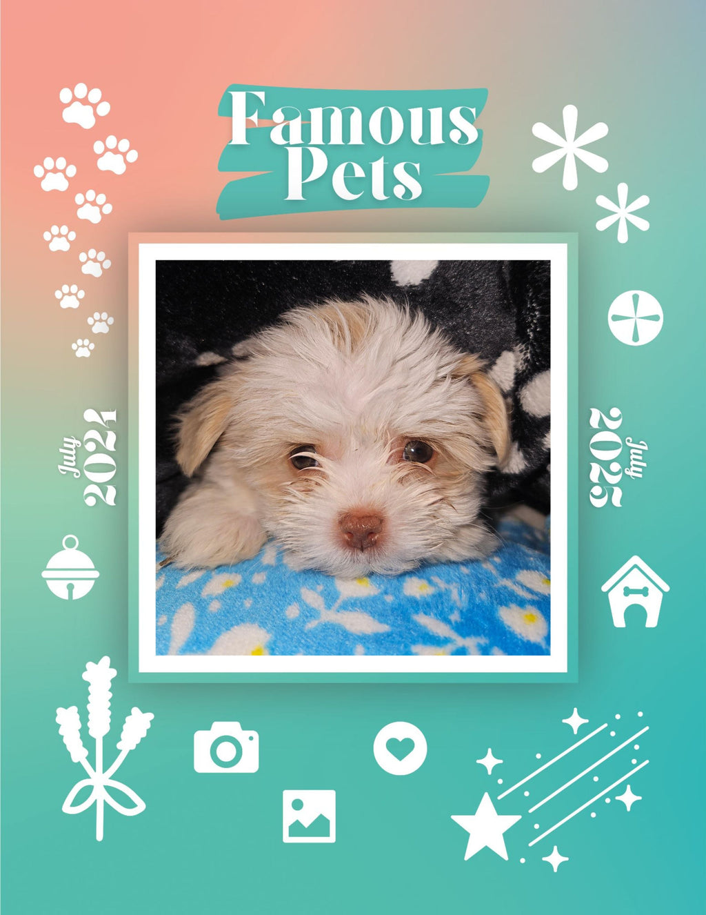 Famous Pets: July 2024-July 2025 Wall Calendar (Pre-Order)