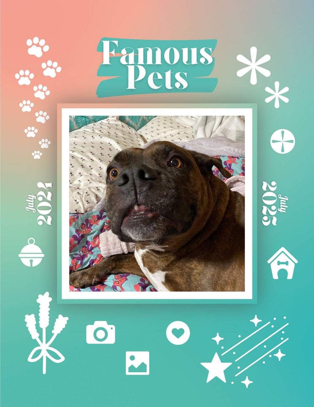 Famous Pets: July 2024-July 2025 Wall Calendar (Pre-Order)