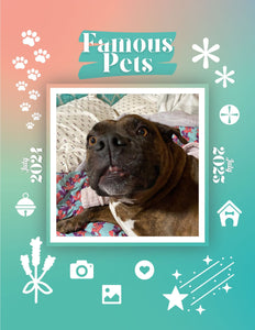 Famous Pets: July 2024-July 2025 Wall Calendar (Pre-Order)