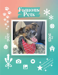 Famous Pets: July 2024-July 2025 Wall Calendar (Pre-Order)