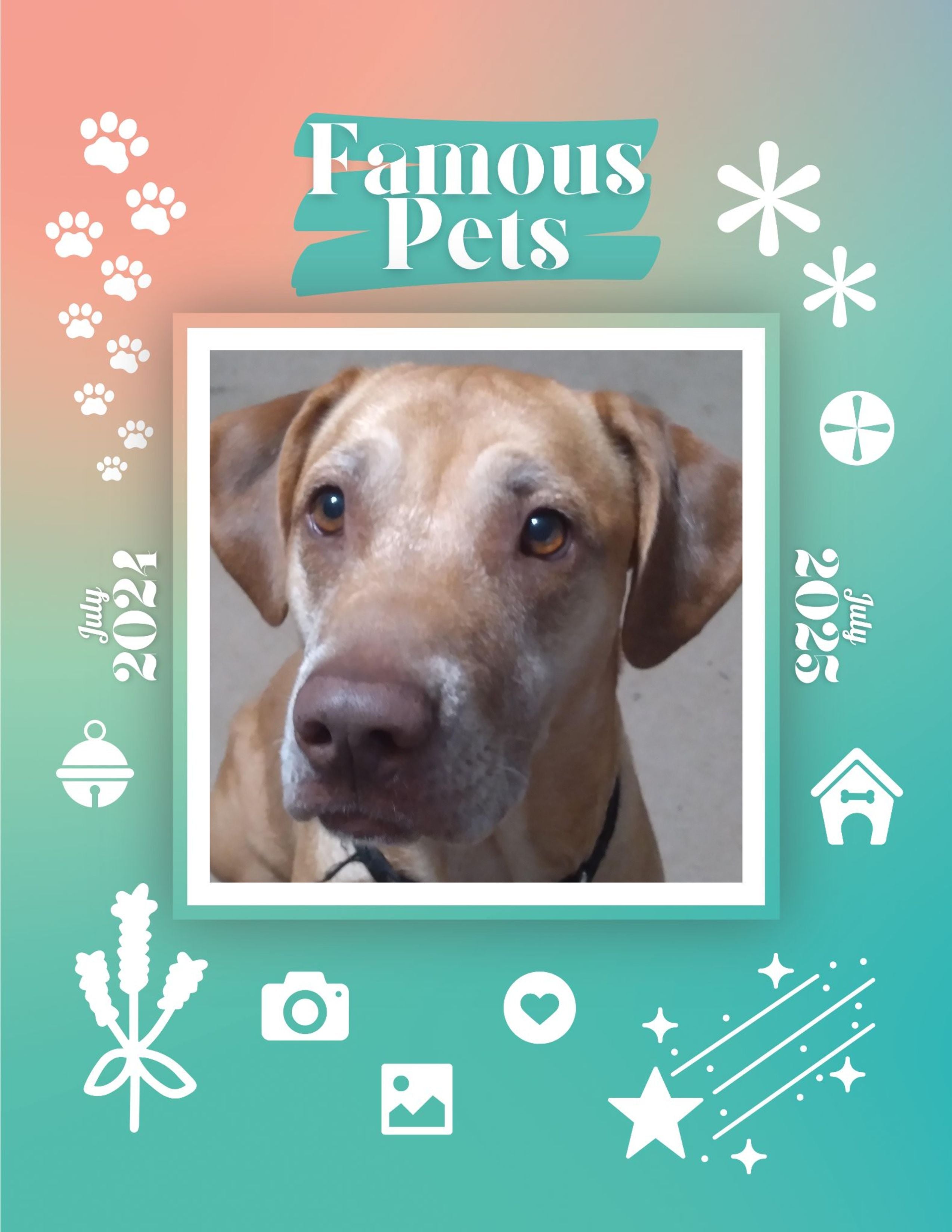 Famous Pets: July 2024-July 2025 Wall Calendar (Pre-Order)